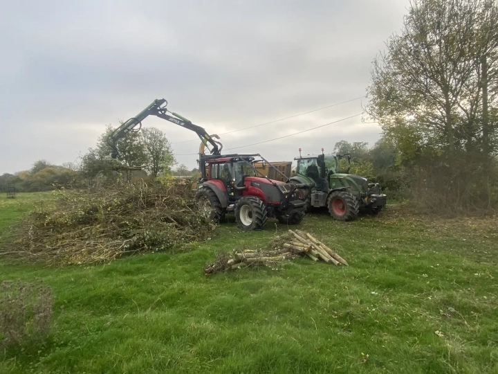 Arborist Norwich