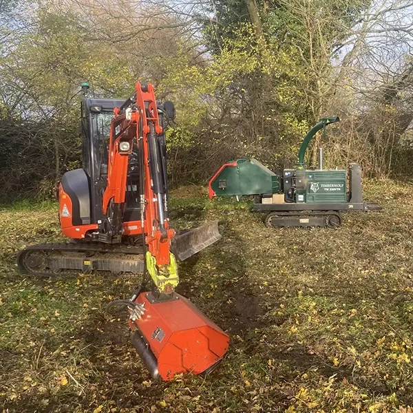 Forest Management Norfolk