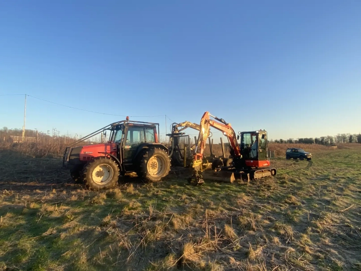 Fallen Tree Removal